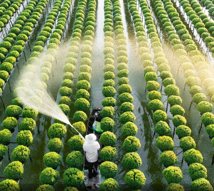 25 Foto dari National Geographic ini membuat waktu seakan terhenti