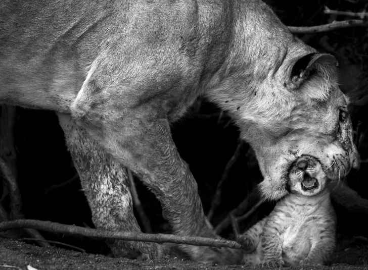 25 Foto dari National Geographic ini membuat waktu seakan terhenti