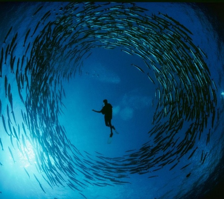 25 Foto dari National Geographic ini membuat waktu seakan terhenti