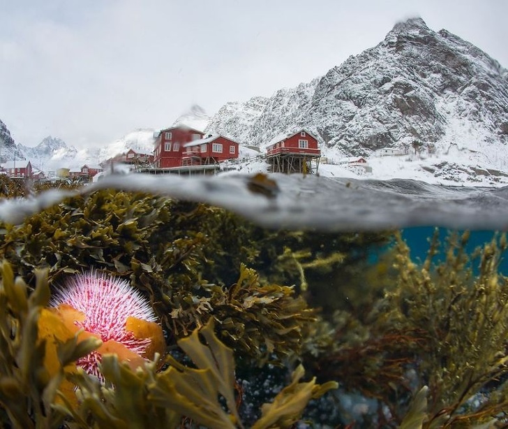 25 Foto dari National Geographic ini membuat waktu seakan terhenti