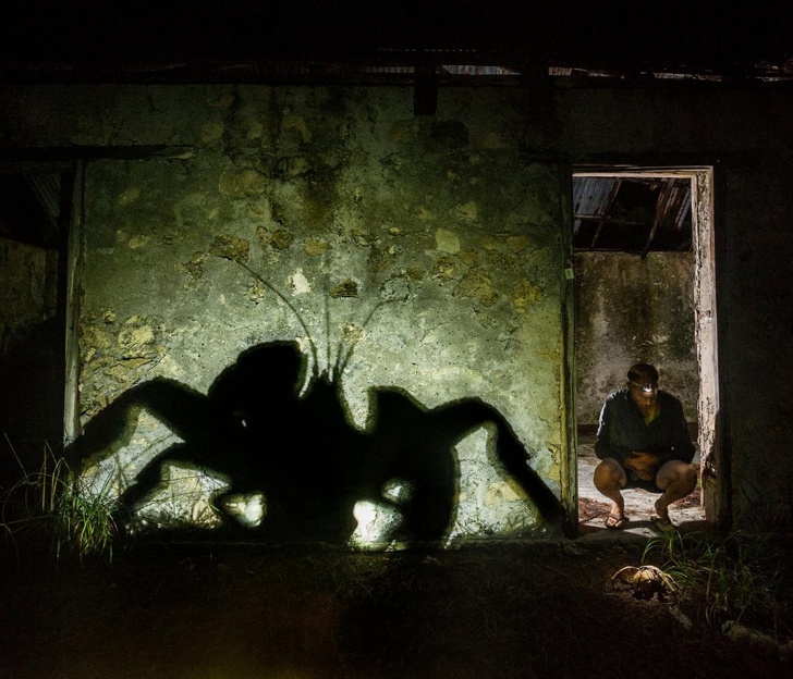 25 Foto dari National Geographic ini membuat waktu seakan terhenti