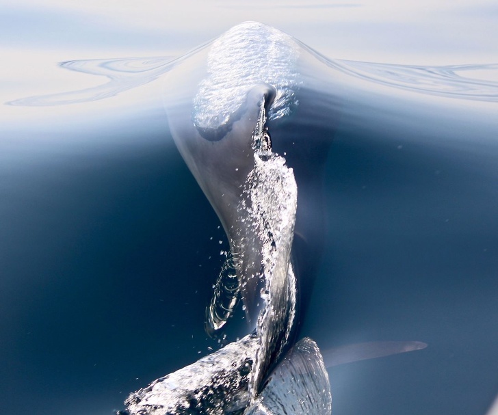 25 Foto dari National Geographic ini membuat waktu seakan terhenti