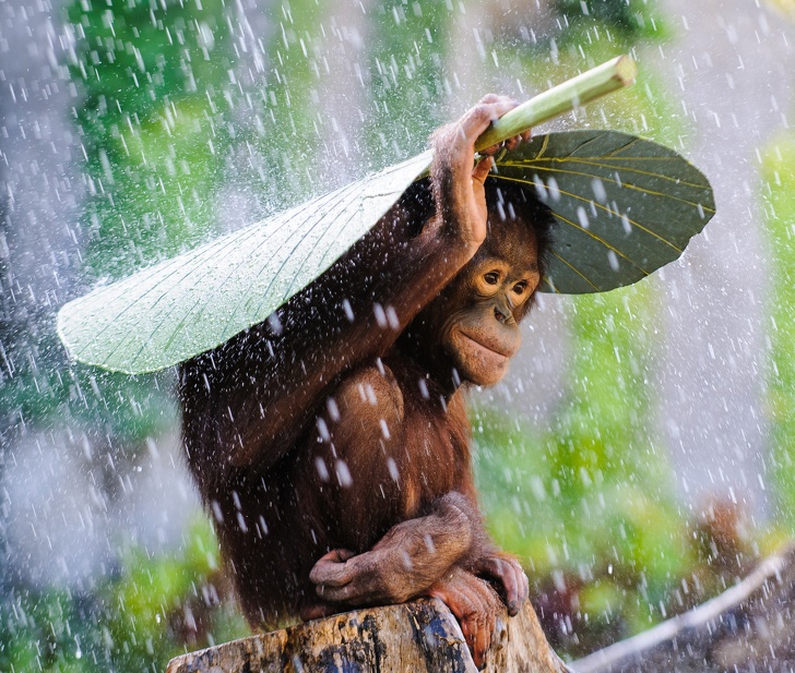25 Foto dari National Geographic ini membuat waktu seakan terhenti