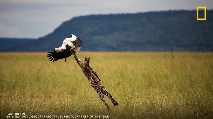 25 Foto dari National Geographic ini membuat waktu seakan terhenti