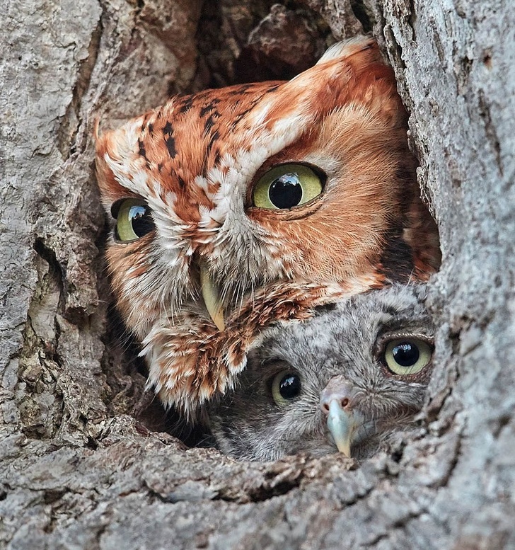 25 Foto dari National Geographic ini membuat waktu seakan terhenti