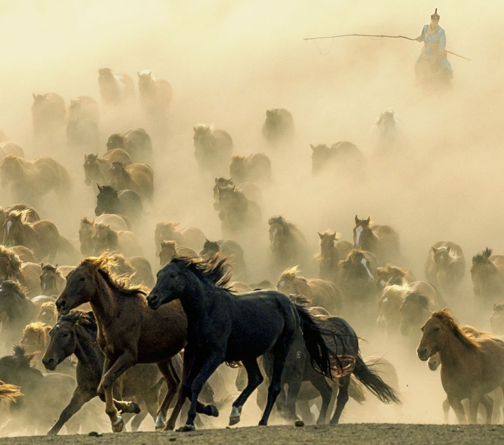 25 Foto dari National Geographic ini membuat waktu seakan terhenti
