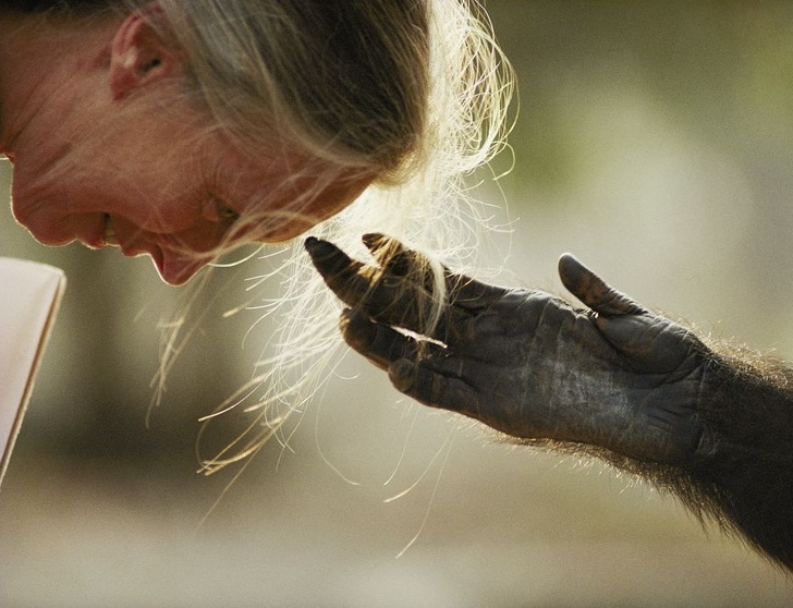 25 Foto dari National Geographic ini membuat waktu seakan terhenti