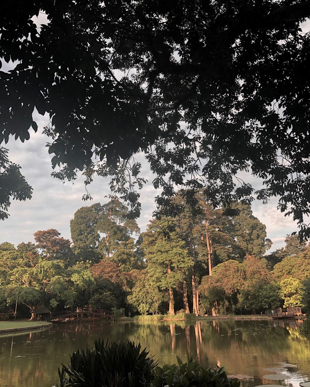 5 Tempat wisata di Bogor ini gak cuma indah, tapi juga horor