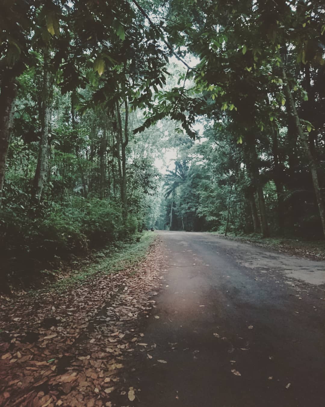 5 Tempat wisata di Bogor ini gak cuma indah, tapi juga horor
