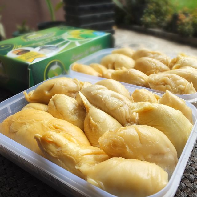 Si Gundul, durian tanpa duri asli NTB yang bikin penasaran