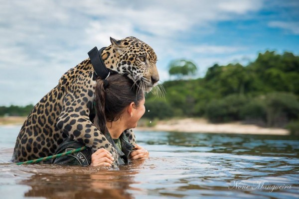 6 Hewan Ini Tak Melupakan Kebaikan Manusia Penolongnya Bikin Har