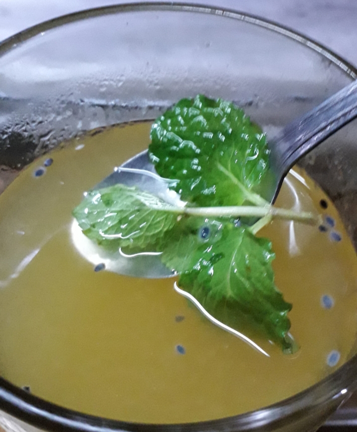Jika digabung, 4 bahan ini bisa jadi minuman segar penguat imun tubuh