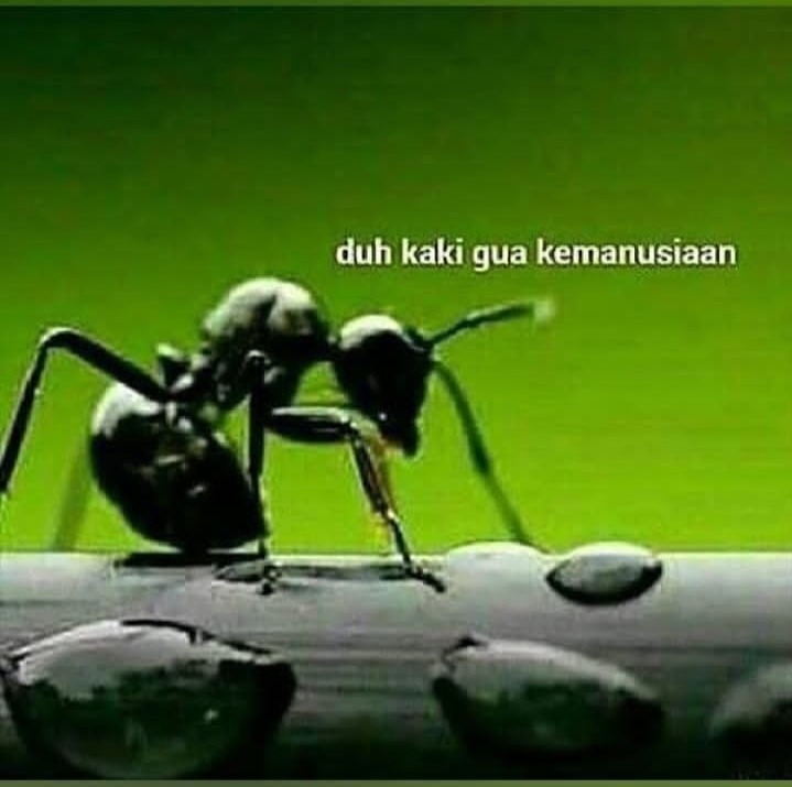 9 Meme super receh ini bikin ngakak seharian