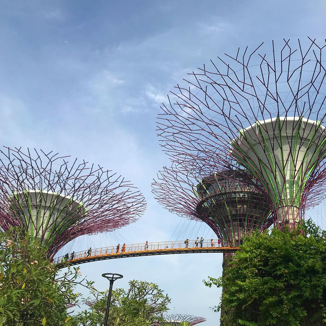 Wanita ini bagikan 10 hal mengejutkan ketika tinggal di Singapura