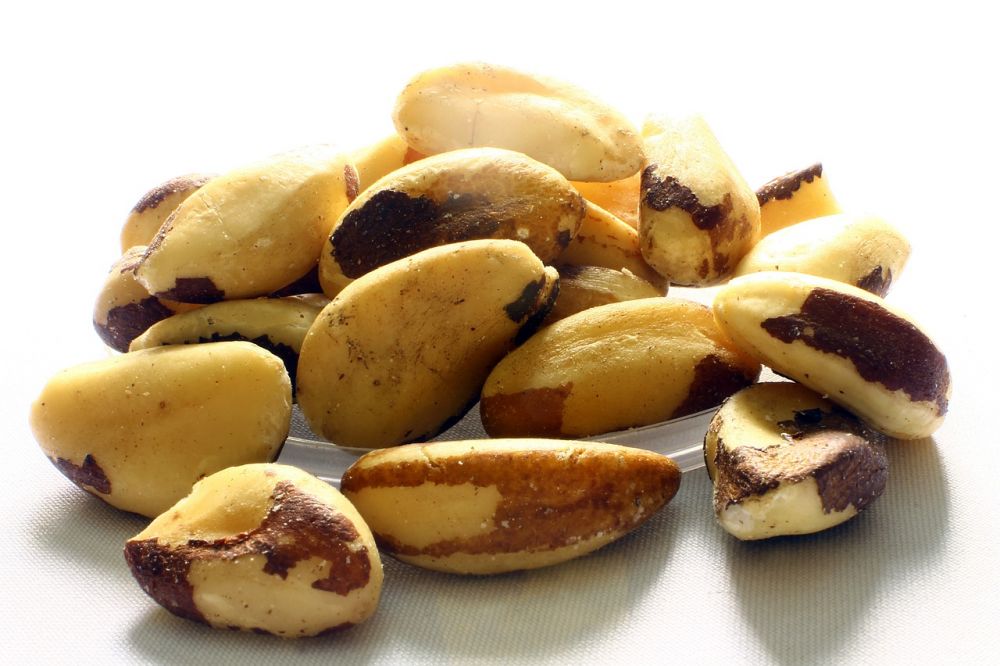brazilian nut Gambar oleh Adriano Gadini dari Pixabay 
