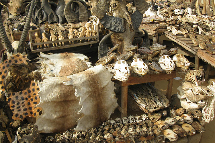 Voodoo Fetish MArket