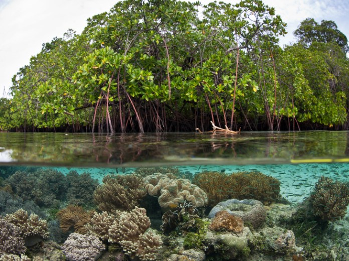 Berkunjung ke 8 pulau di Kalimantan Timur yang memesona