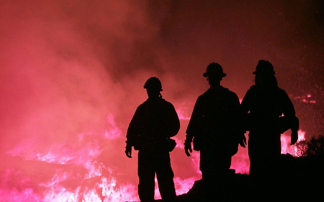 Salah satu fenomena yang memicu kebakaran lahan gambut di indonesia adalah