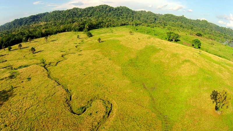 Padang Sadegan Taman Nasional Alas Purwo