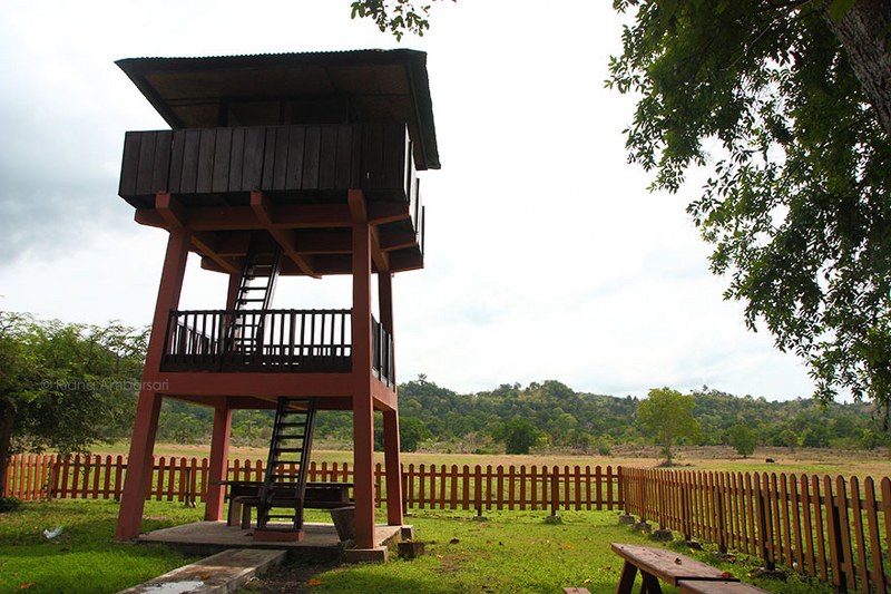 Menara pemantau satwa di padang Sadengan