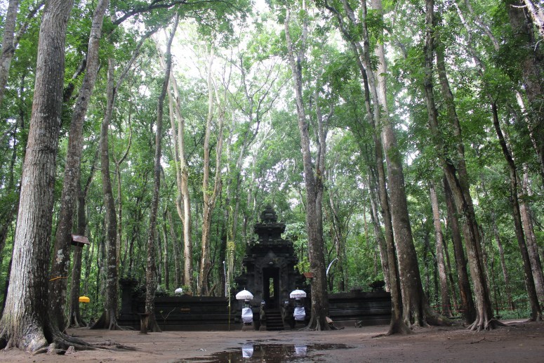 Situs Kawitan Taman Nasional Alas Purwo