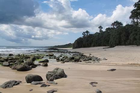 Pantai Pancur Taman Nasional Alas Purwo