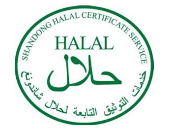 Potret logo Halal ini berasal dari 21 negara di Asia