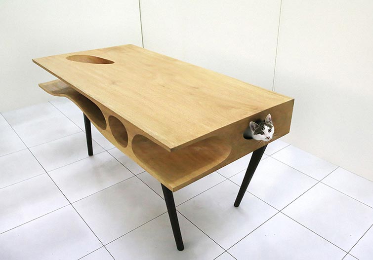 image source : http://freshome.com/2014/04/21/constantly-satisfying-cats-curiosity-catable-ruan-hao/