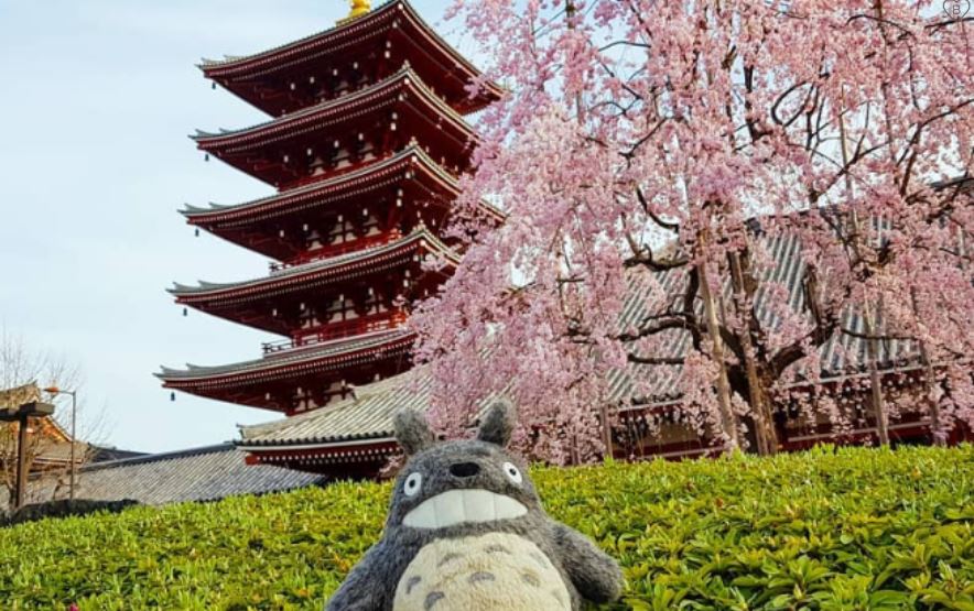 Totoro