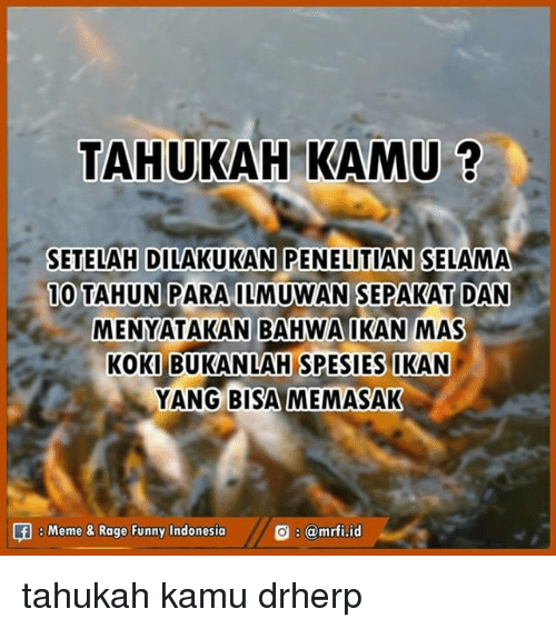 Foto: Ig/@mrfi.id