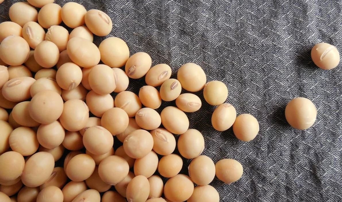 10 Makanan ini ternyata bisa mengurangi kolesterol lho!