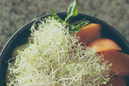 4 Makanan yang cocok untuk sarapan dan dapat membantu menurunkan berat badan