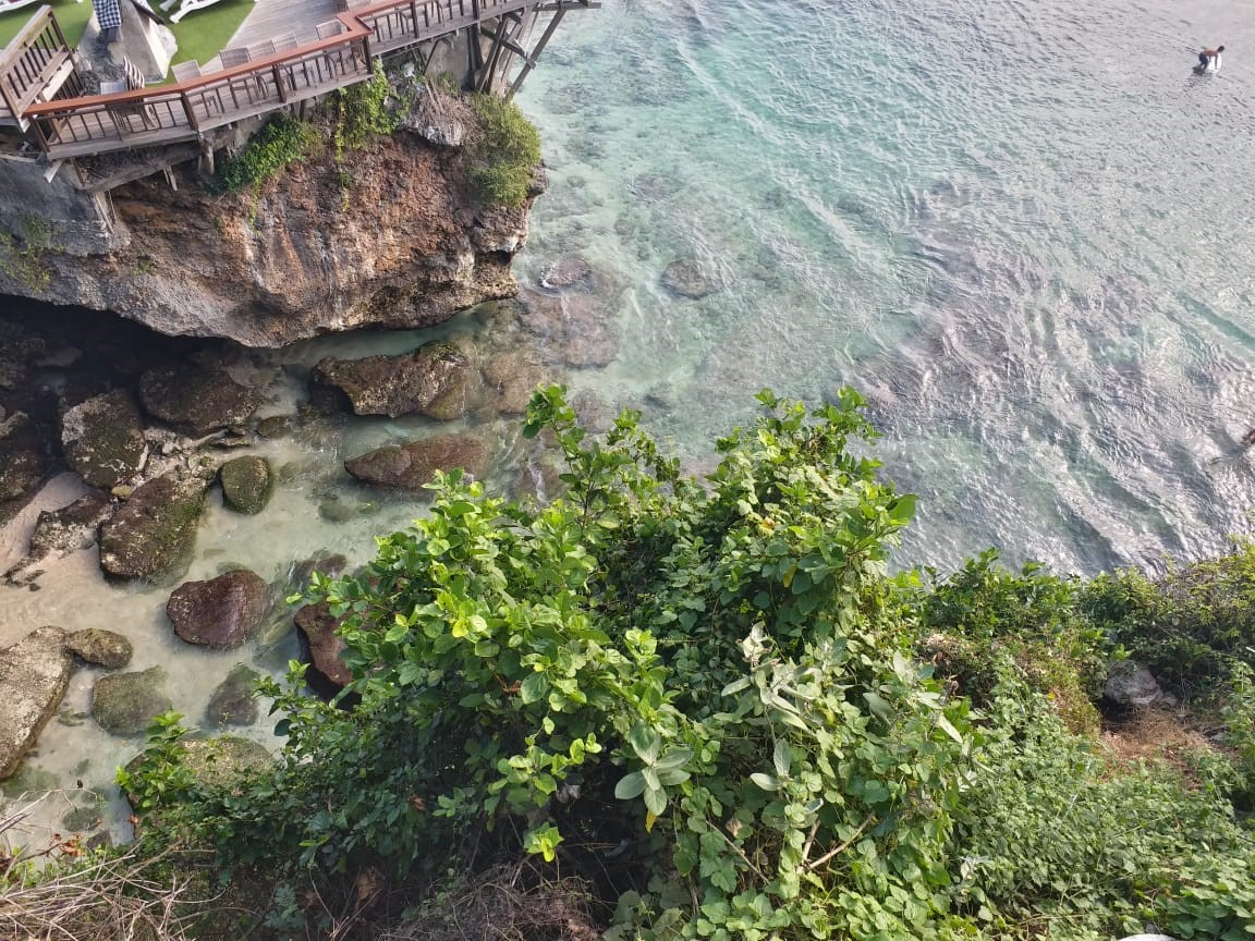 gambar 6