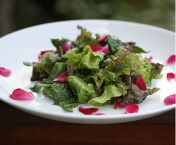Salad Mawar