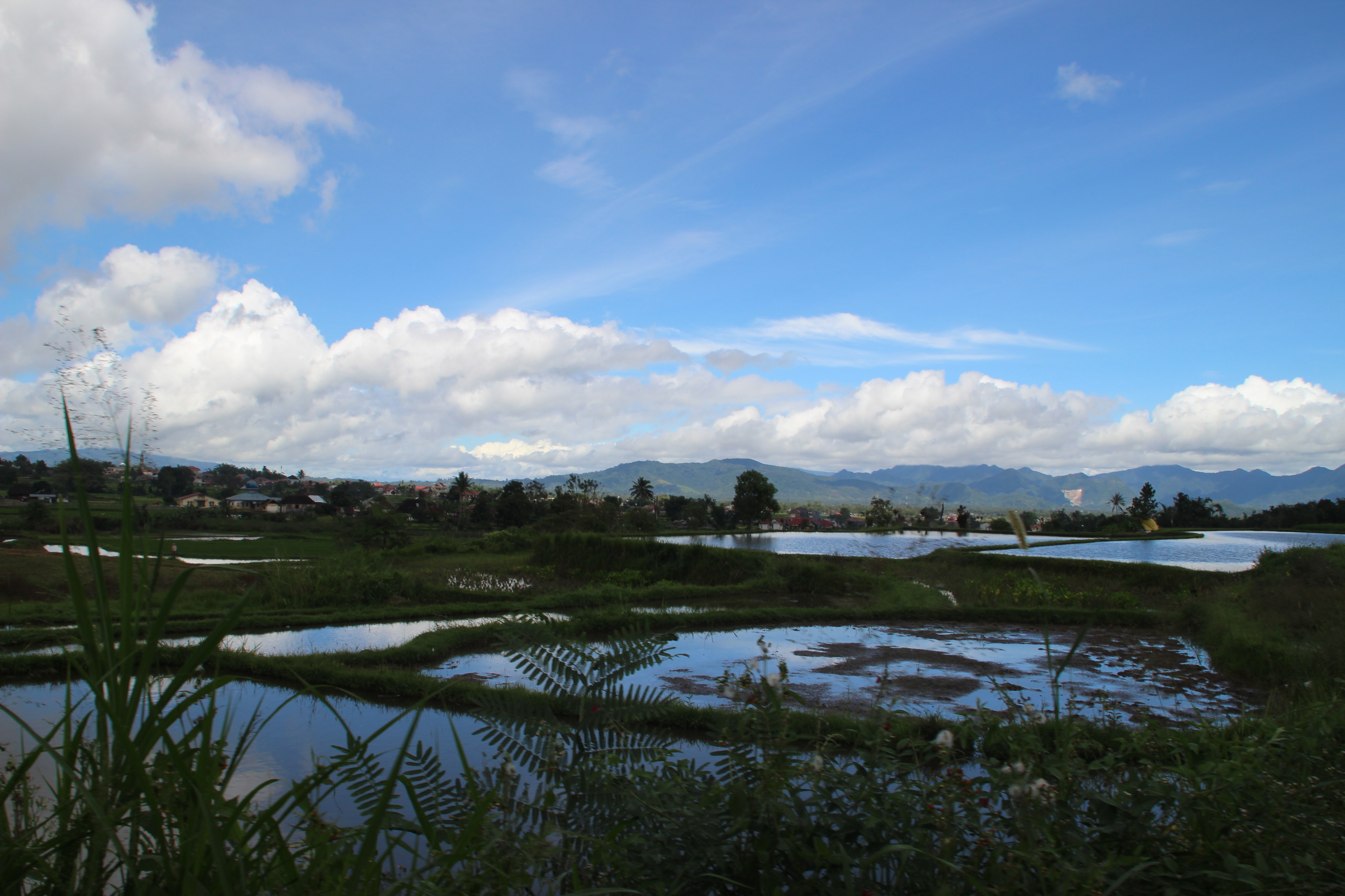 Foto jalan dari Padang Panjang menuju Solok