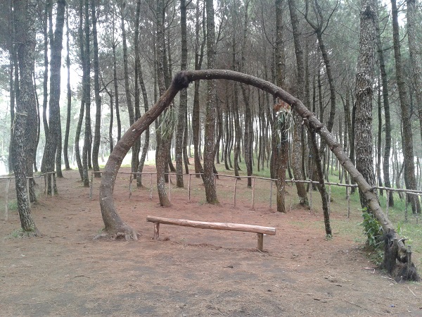 Mengunjungi Gunung Putri di Lembang, Bandung