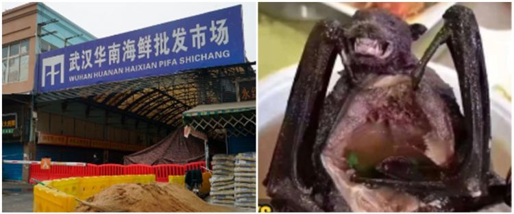 Serba-serbi tentang virus Corona yang perlu kamu ketahui