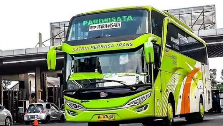 Kenali perbedaan dari 5 moda transportasi bus ini