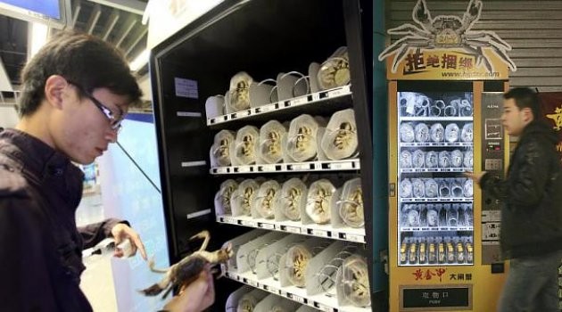Tak cuma minuman, 7 vending machine ini menjual barang yang gak biasa