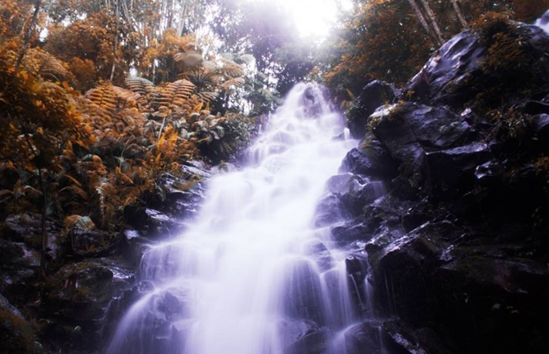 Air Terjun Sanggar Jombang