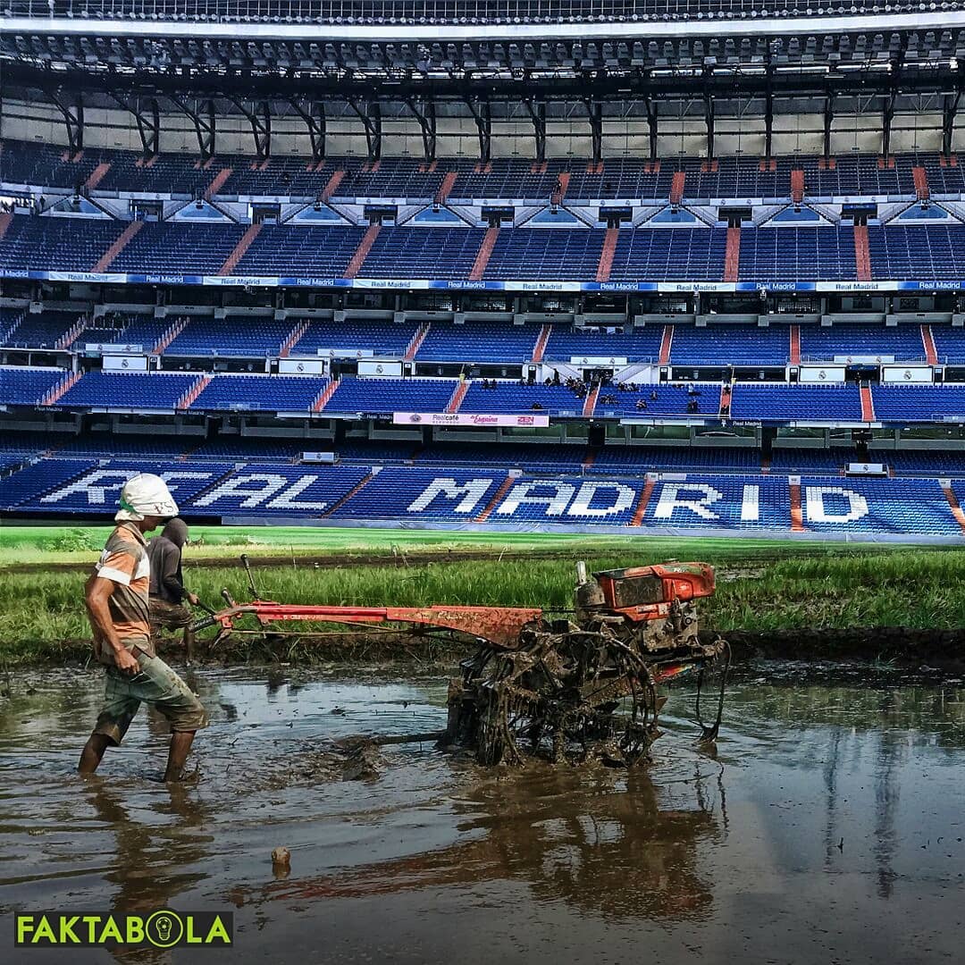 Lama tak dipakai, 6 foto editan stadion klub Eropa bikin tepuk jidat