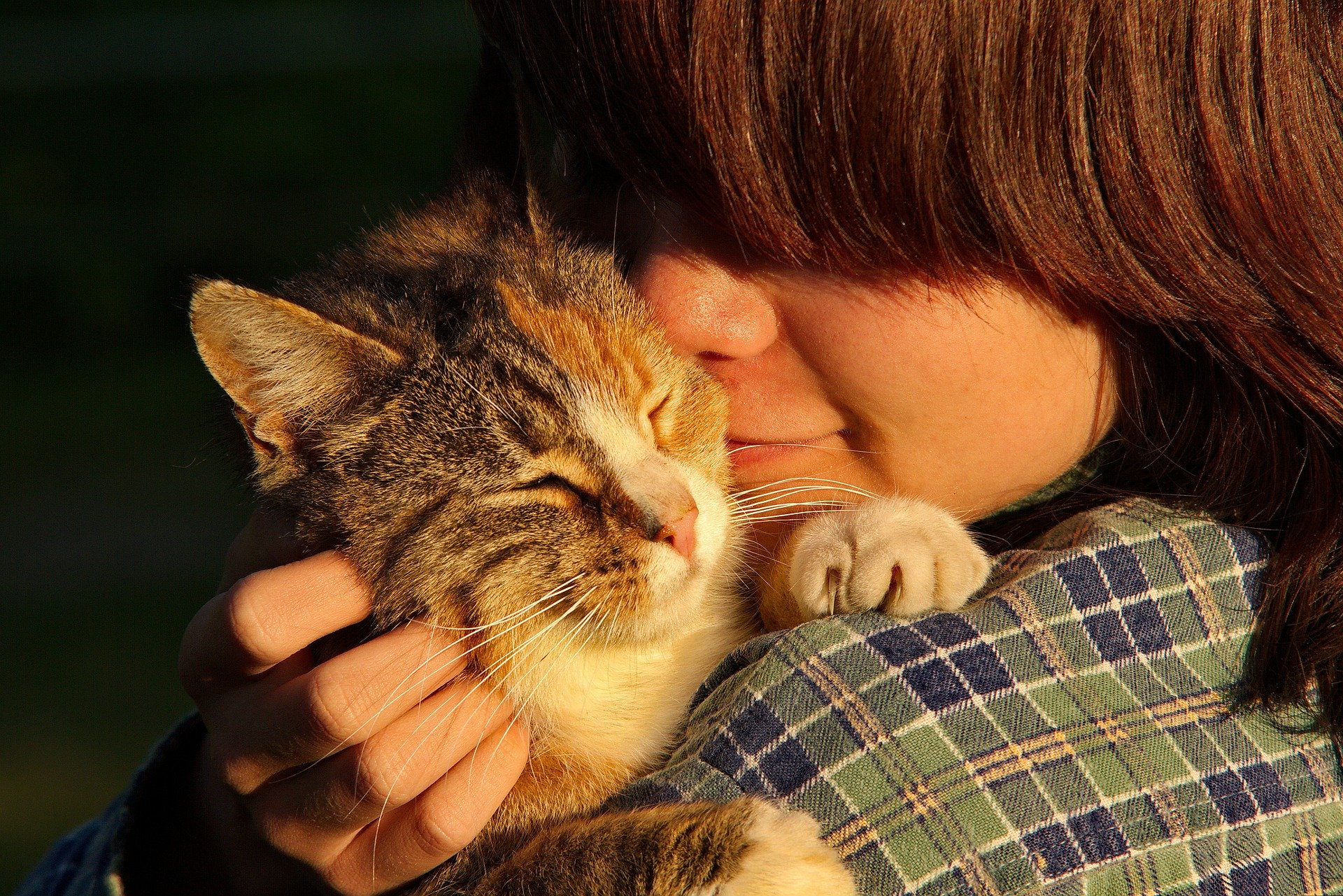 Ini 7 manfaat tak terduga dari memelihara kucing di rumah