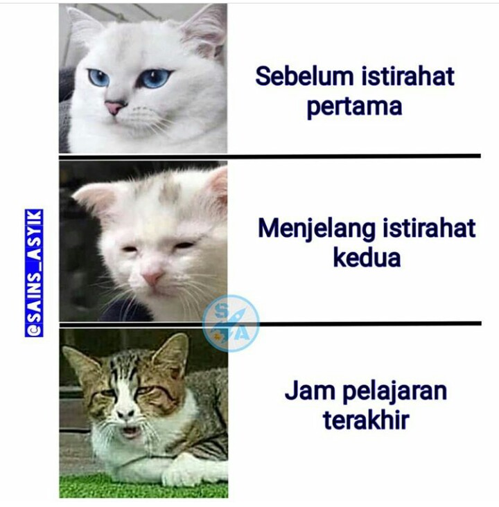 12 Meme lucu tentang masa sekolah ini bikin nostalgia banget