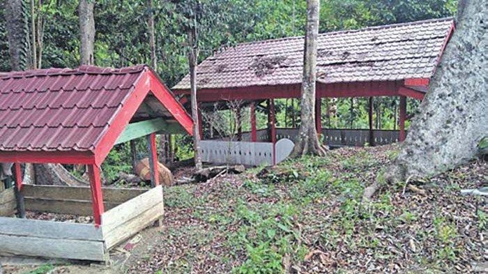 5 Tempat yang tak boleh kamu lewatkan saat berwisata ke Aceh