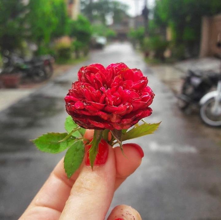 https://www.instagram.com/p/CD7HZC4J9ua/?igshid=cbzzbx2e6t9z