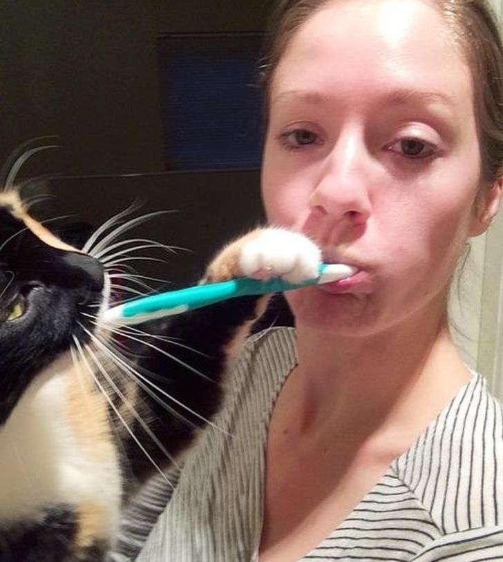 12 Kelakuan kucing ini bikin pemiliknya gemas, ngakak sekaligus emosi