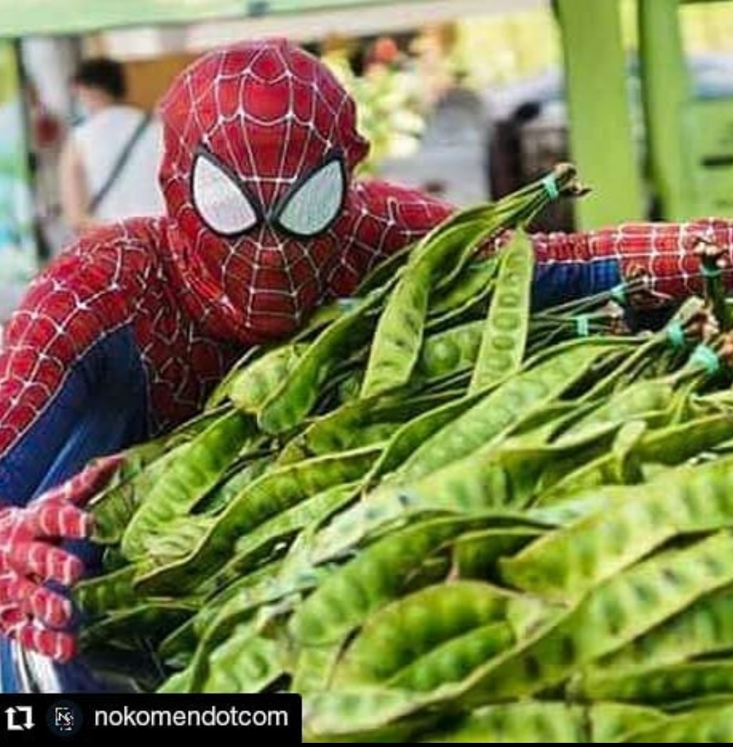 12 Potret tingkah kocak orang berkostum Spiderman ini bikin ngakak