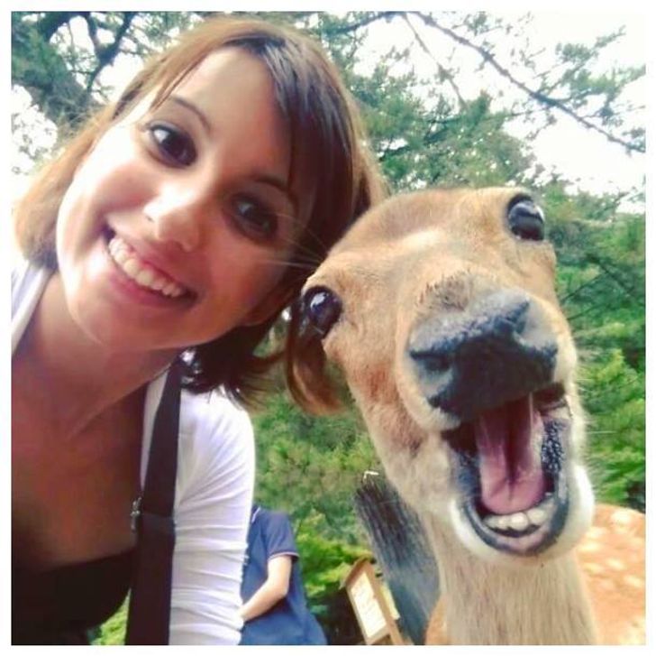 14 Ekspresi hewan saat diajak selfie ini lucu dan gemesin banget