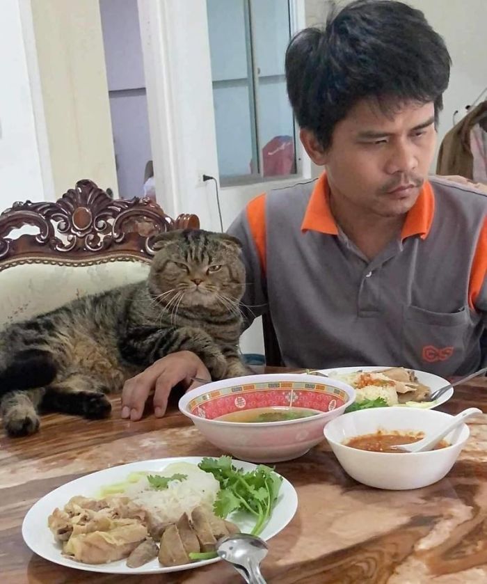 17 Potret seorang pria dan kucingnya ini bikin baper, mesra banget