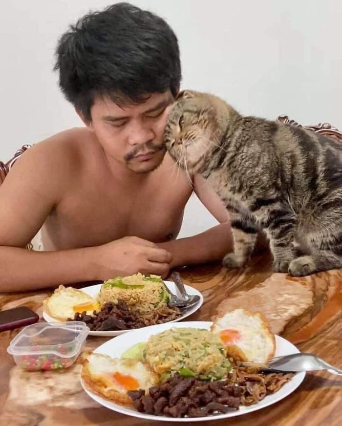 17 Potret seorang pria dan kucingnya ini bikin baper, mesra banget
